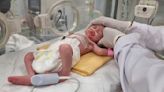 Premature baby girl rescued from her dead mother's womb dies in Gaza after 5 days in an incubator