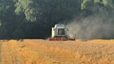 Harvest 24: Impressive start to winter barley harvest at mixed family farm - Farmers Weekly