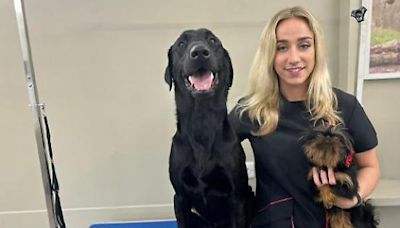 Dog lover names care business in memory of beloved Labrador