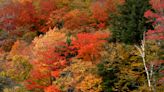 Where are the best fall colors? Map out best dates and locations for 2023 leaf-peeping