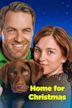 Coming Home for Christmas (film)