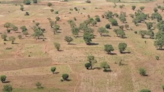 West Africa's biggest vegetable farm destroyed by floods