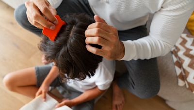 ¿Cómo prevenir los piojos en nuestros hijos ante reportes de brotes en escuelas de Monclova?