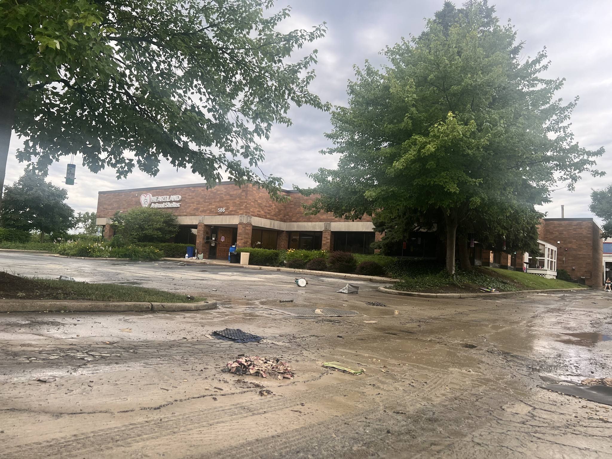 Flooding at Wheeling animal shelter leaves 100 animals without a home