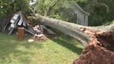 ‘Jesus, please help me’: Woman survives after tree falls on home, pinning her
