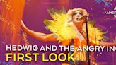 Review: HEDWIG AND THE ANGRY INCH at American Stage