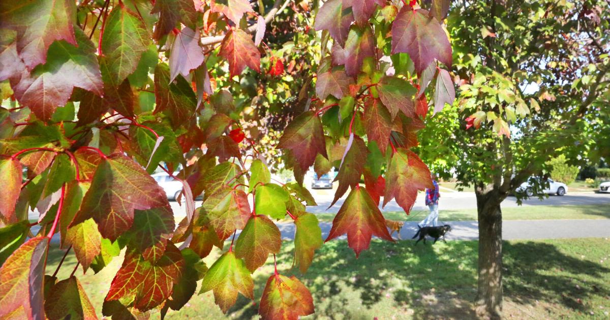 Fall is almost here, but when will it finally feel like it? Here’s what the forecast says