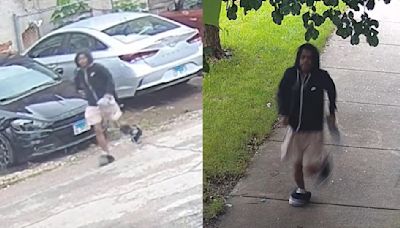 Chicago police issue alert for armed robberies in 3 neighborhoods