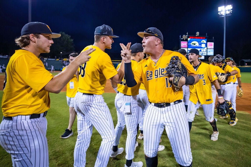 Southern Miss advances to Sun Belt semifinals with eighth-inning comeback - The Vicksburg Post