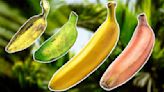 12 Types Of Bananas And How To Use Them