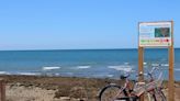 Aguadulce - Peginas: paseo por la playa canina de Rota