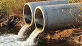 Business Clinic: Raw sewage contamination – can I claim? - Farmers Weekly