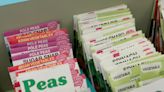 Detroit mom's Gro-Town gardening organization for kids has given away 28,000 seed packets