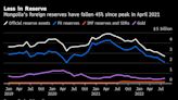 Mongolia’s Central Bank Says Debt Management Is ‘No. 1 Task’