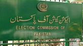 Never said PTI was not a political party: ECP