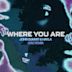 Where You Are [GRiZ Remix]