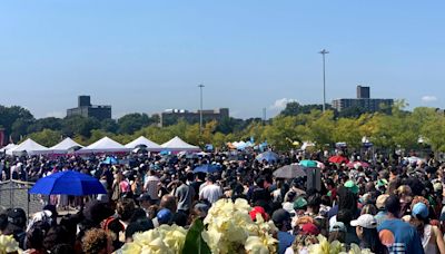 Panic! At the Vegan Food Festival