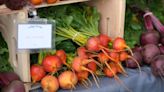 Four metro-area farmers markets and what to expect for market season