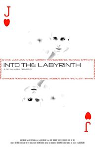 Into the Labyrinth