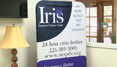 Iris Domestic Violence Center helping domestic abuse victims