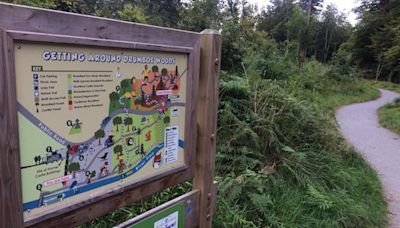Anger and frustration at Drumboe Woods walkway closure - Donegal Daily