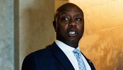 Tim Scott Goes Full Conspiracy Theory After Trump Blames Dem Rhetoric For Danger