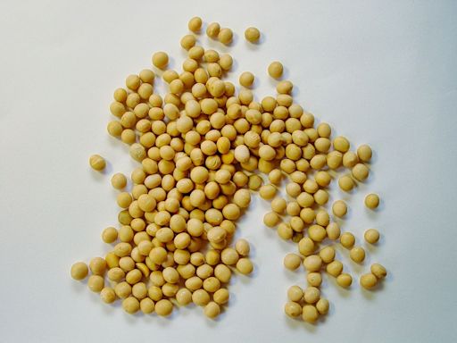 冠軍竟不是黃豆！營養師曝「植物性蛋白質」排行榜