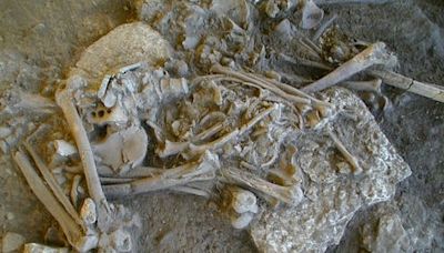 Did plague really decimate Neolithic farmers 5,200 years ago, as a new study suggests?