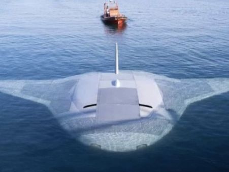 US Navy's Secret Manta-Ray Drone Seen On Google Maps - WATCH First Look