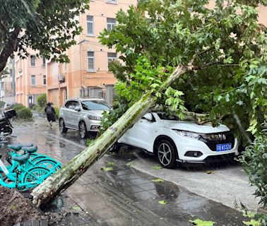 貝碧嘉｜對上海影響漸減弱 機場及公路等交通陸續恢復