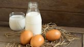 Alerta por influenza aviar en Florida: ¿es seguro consumir leche y pollo?