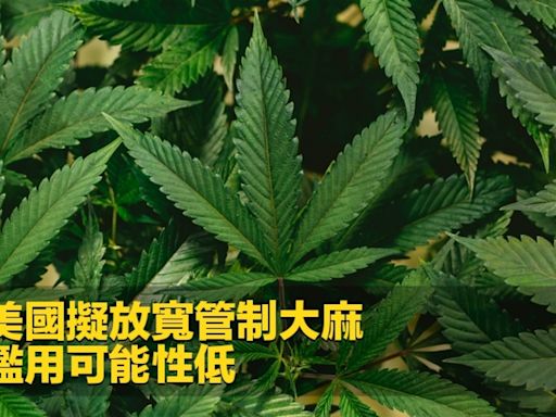 據報美國擬放寬管制大麻 指被濫用可能性低