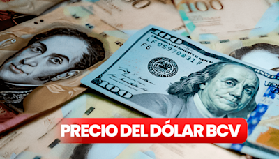 Precio del Dólar BCV y Dólar Paralelo en Venezuela hoy, 19 de julio, vía Banco Central
