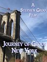 Journey of Groo: New York