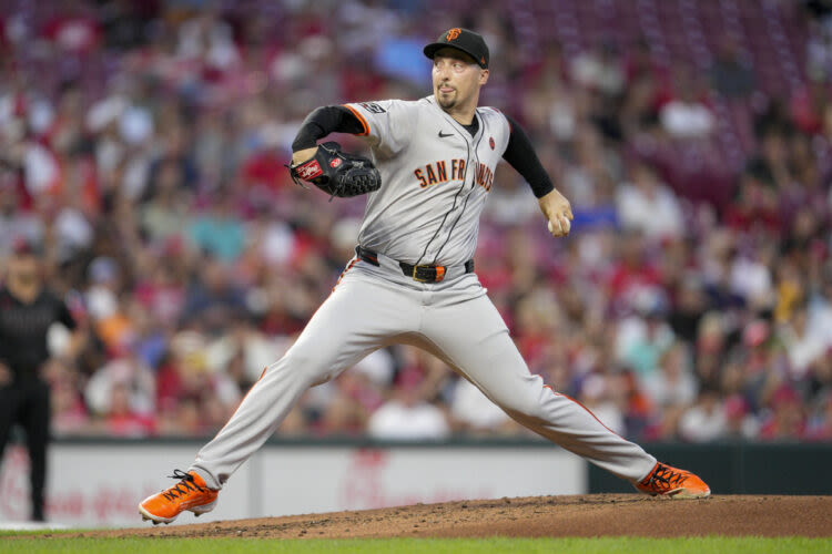 Giants’ Blake Snell throws 1st career no-hitter in 3-0 win over the Reds | News, Sports, Jobs - Maui News