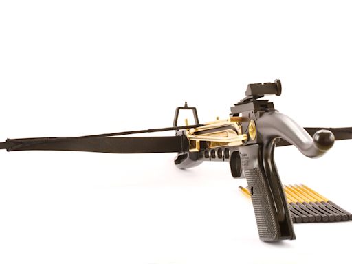 Tougher crossbow laws considered in bid to prevent violent attacks