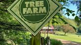 Lees' tree farm kicks off Coon Creek Community Watershed Council’s 2024 field season