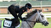 Unique 2023 Kentucky Derby horses include a quartet of grays and a pair bred in Japan