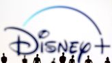 Egan-Jones backs activist Peltz for Disney’s board as proxy battle rages