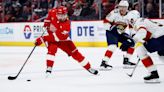 Detroit Red Wings captain and leading scorer Dylan Larkin is out 2 weeks with injury