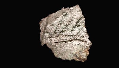 Missing 6th Century bucket pieces found at Sutton Hoo