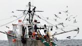 Feds try to improve fishing data with new monitoring rules