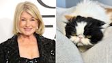 Martha Stewart Mourns the Death of Her Persian Cat Empress Tang: 'We Loved Her so Much'