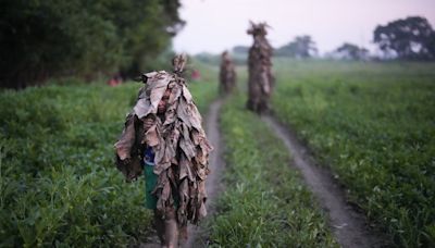 An AP Photographer picked his own path when trying to make the perfect Mud People Festival photo