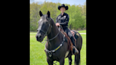 Mounted deputy dies after being thrown from horse at county fair, Michigan cops say