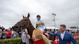 Last year's hero Ash Tree Meadow and classy Zanahiyr set to spearhead Gordon Elliott's challenge for a fifth Galway Plate
