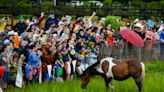 Chincoteague Island Pony Swim and Auction returns for its 98th year. Here's all to know.