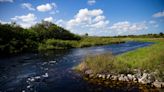 Wild idea: Should we return the Caloosahatchee to its natural state?