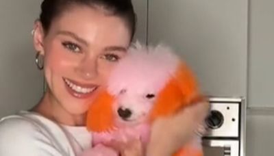 Nicola Peltz shocks fans as she dyes her dogs pink and orange