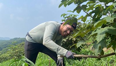 I spent two months working on a farm in South Korea for free lodging and food. It was hard work, but I saved at least $2,000.